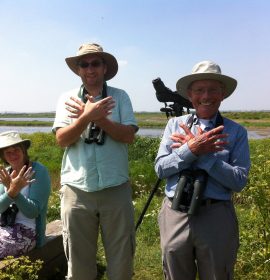 Protect the Thames estuary #noestuaryairport