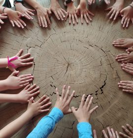 Escolares de visita al Centro de Educación Ambiental “El Campillo”