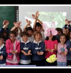 2º Primaria Colegio San José- Niño Jesús “Butterflies”