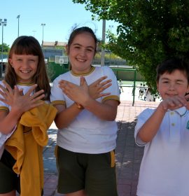 Colegio EDUCREA El Mirador