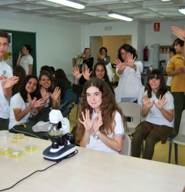 Colegio EDUCREA El Mirador