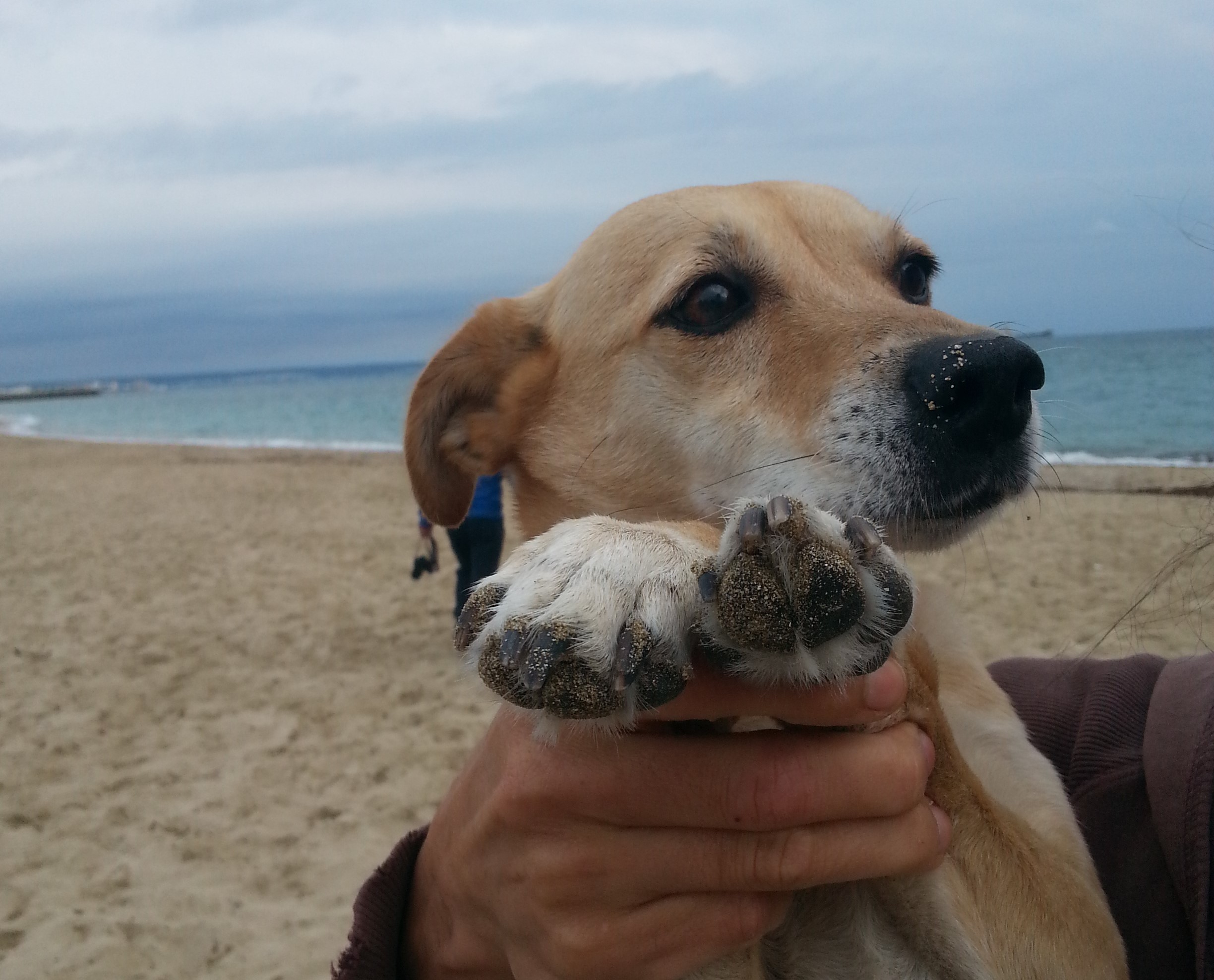 ARI con Natura 2000