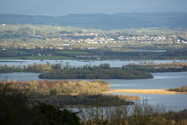 Twitter : @RSPBNI (RSPB NI)