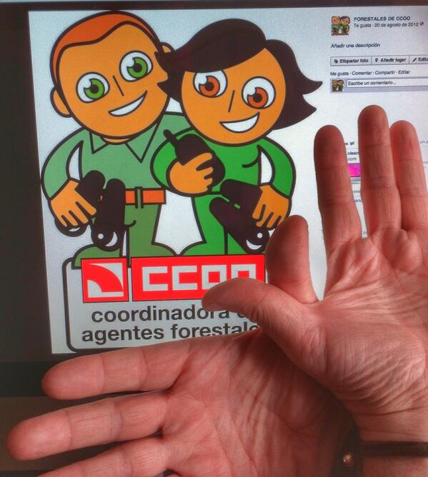 Twitter : @forestalesdeCCO (FORESTALES DE CCOO)