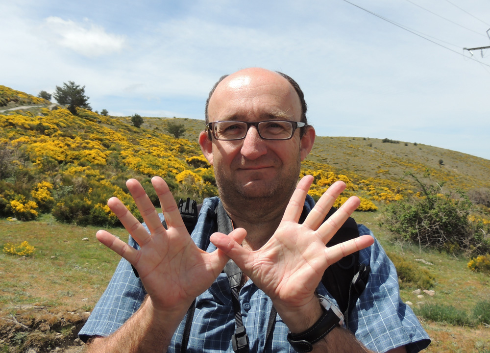 SEO-SIERRA DE GUADARRAMA