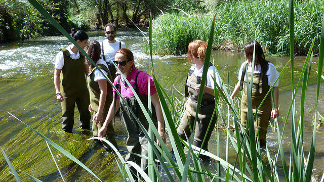 Voluntariado ambiental AB InBev en ZEC Riberas del Henares