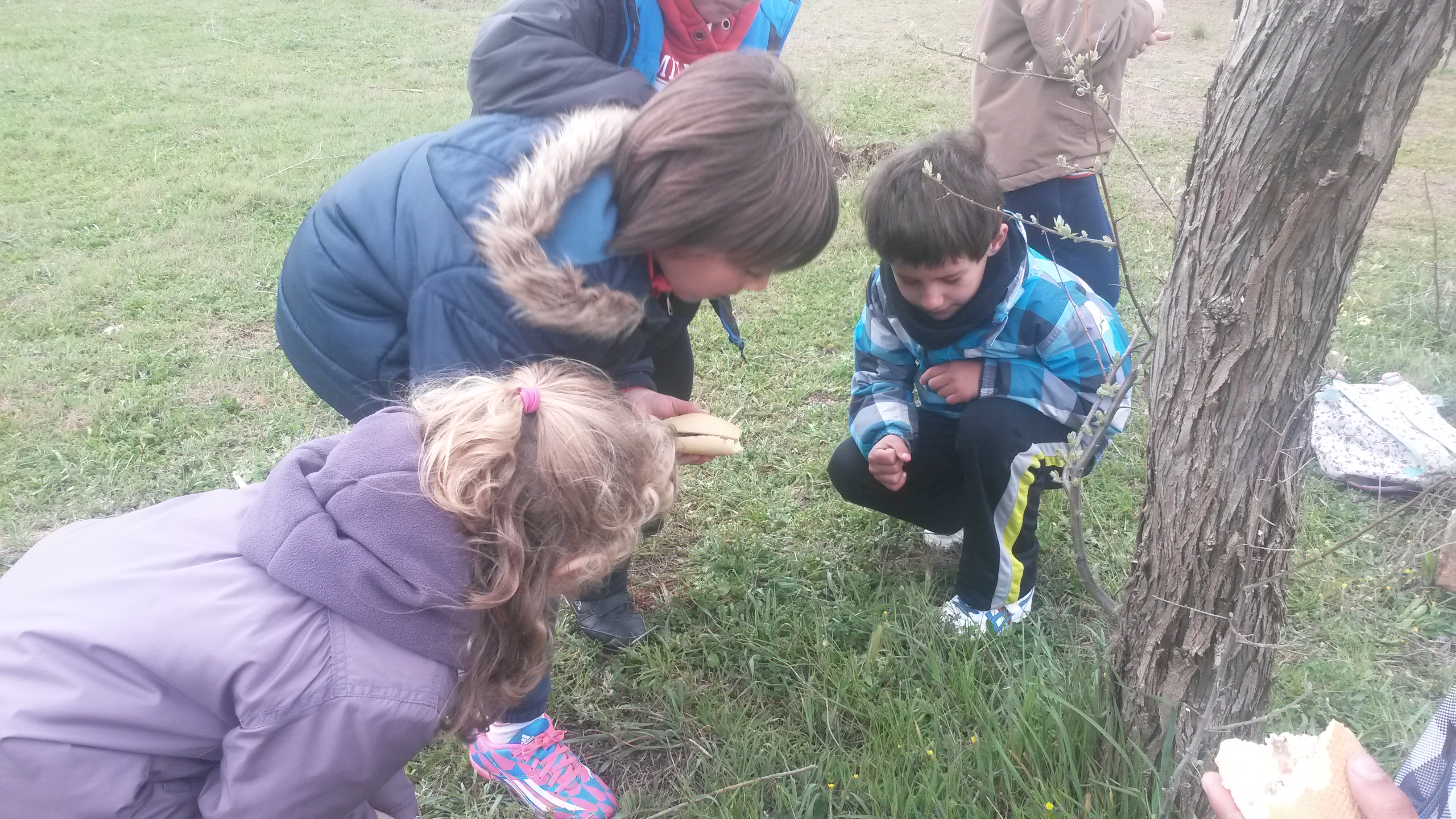 CEIP. GARCILASO DELA VEGA