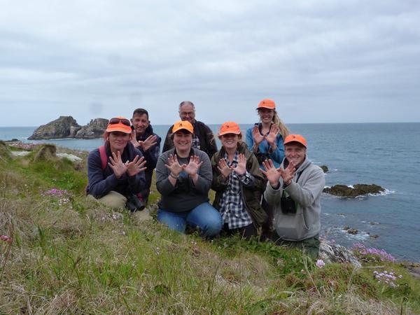 Twitter : @seabirdrecovery (Scillyseabirds)