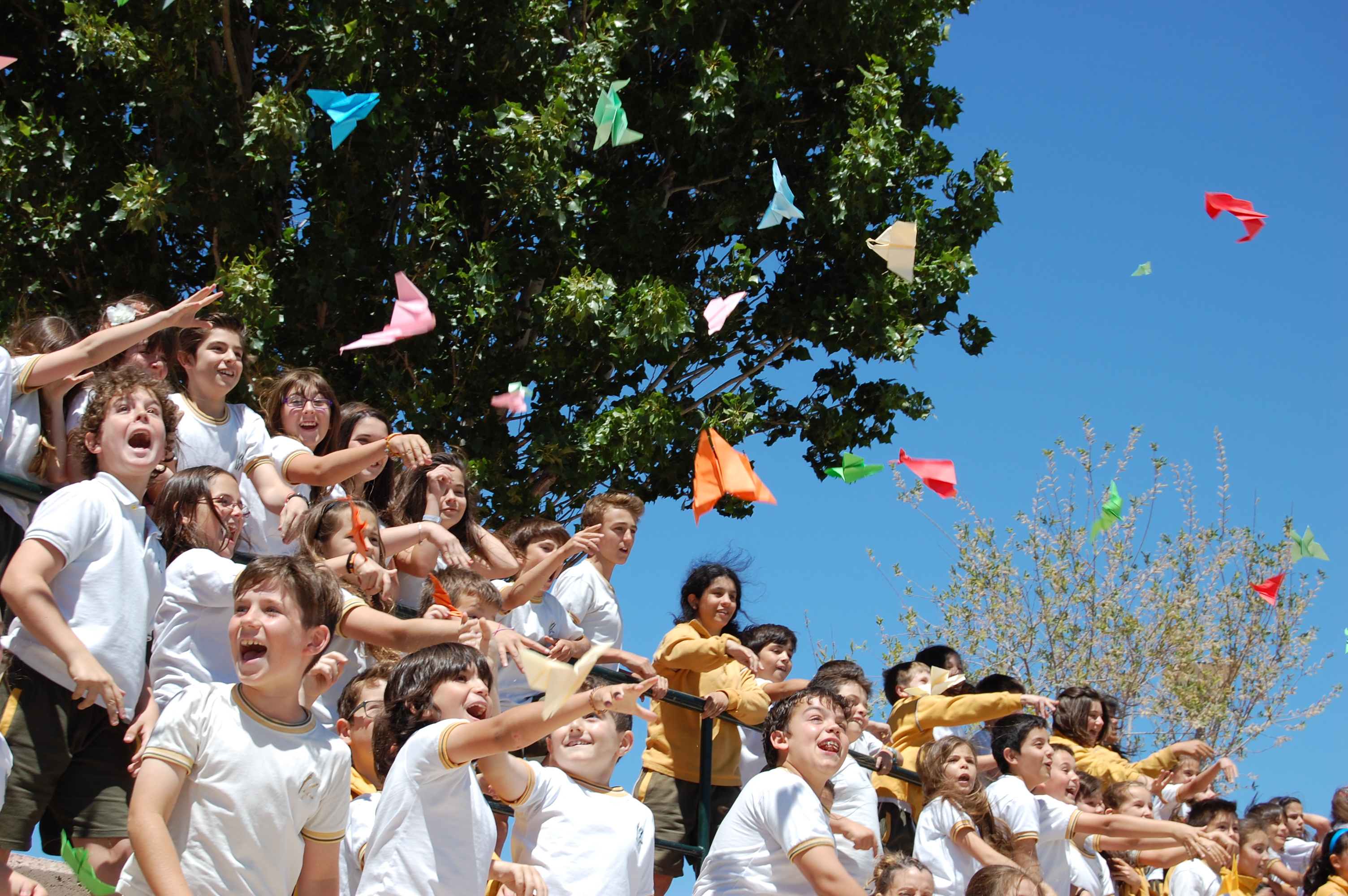 COLEGIO EDUCREA