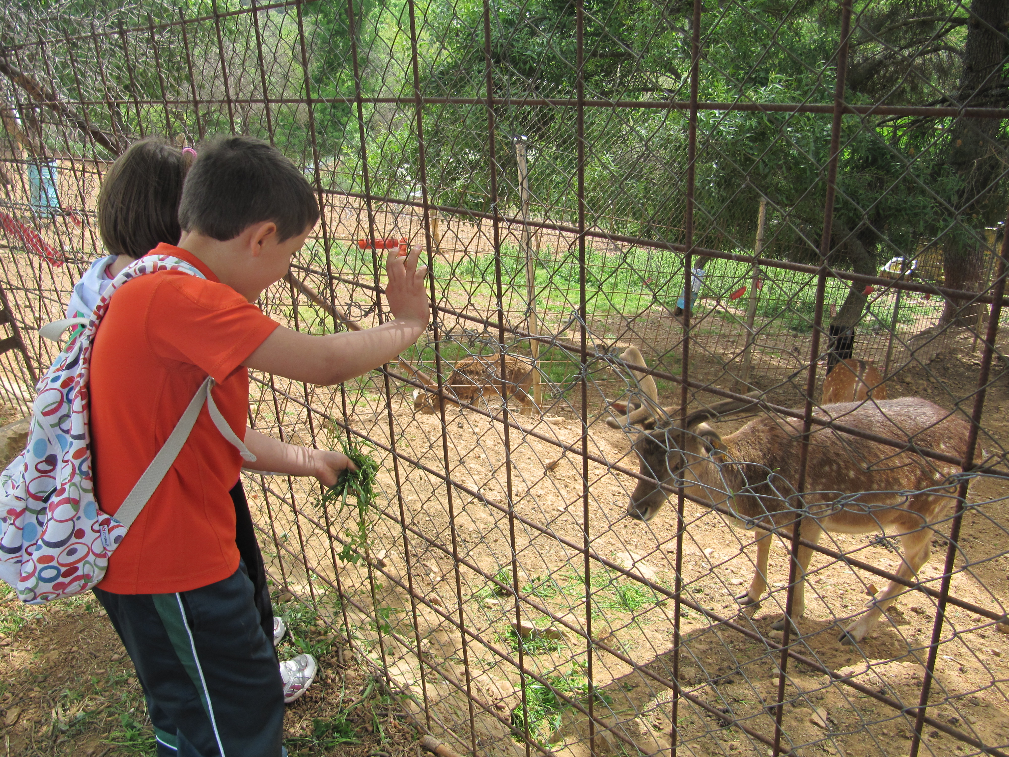 CEIP. GARCILASO DELA VEGA