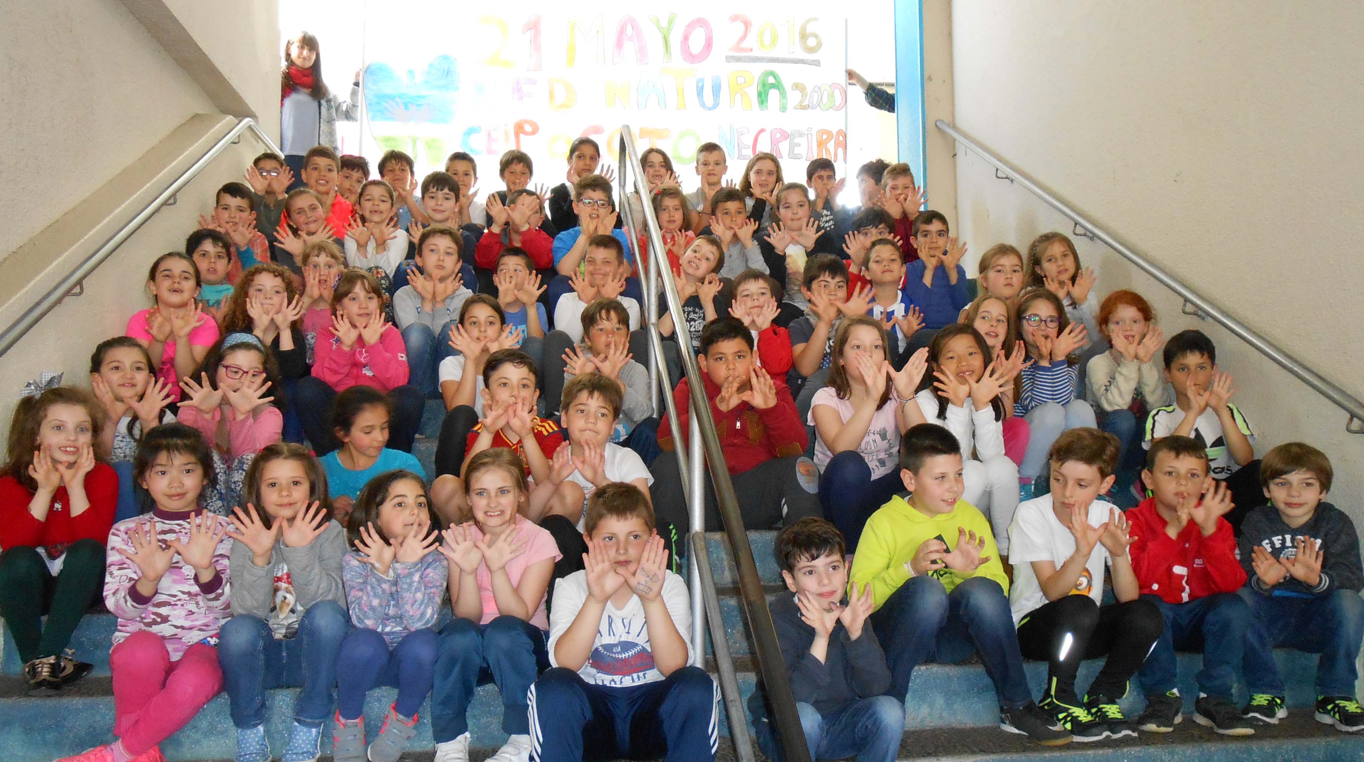 CEIP O Coto de Negreira