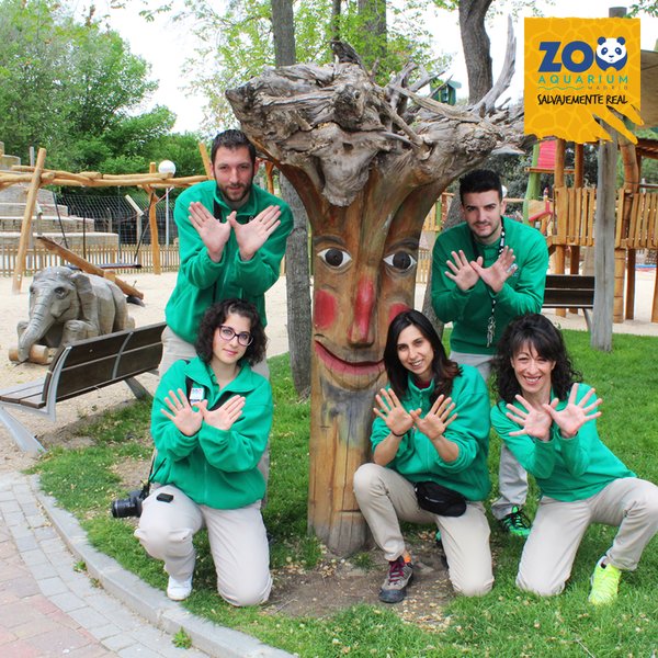 Twitter : @zoomadrid (zoo madrid)