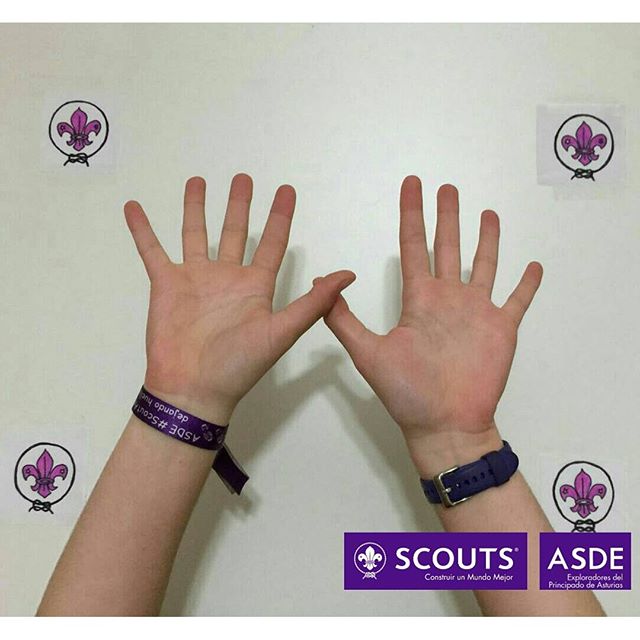 ASDE Scouts de España