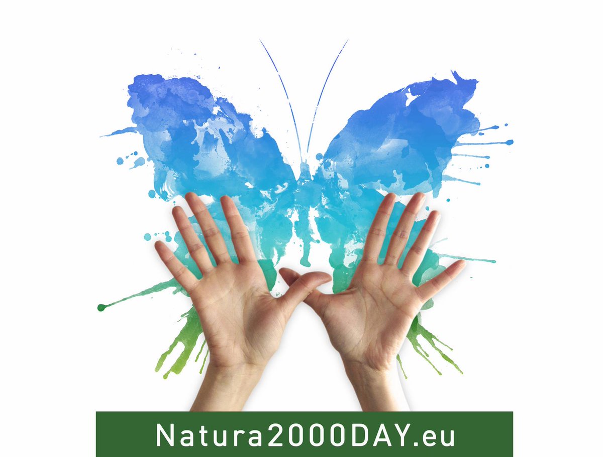 Twitter : @NatureFriendsGR (Naturefriends Greece)