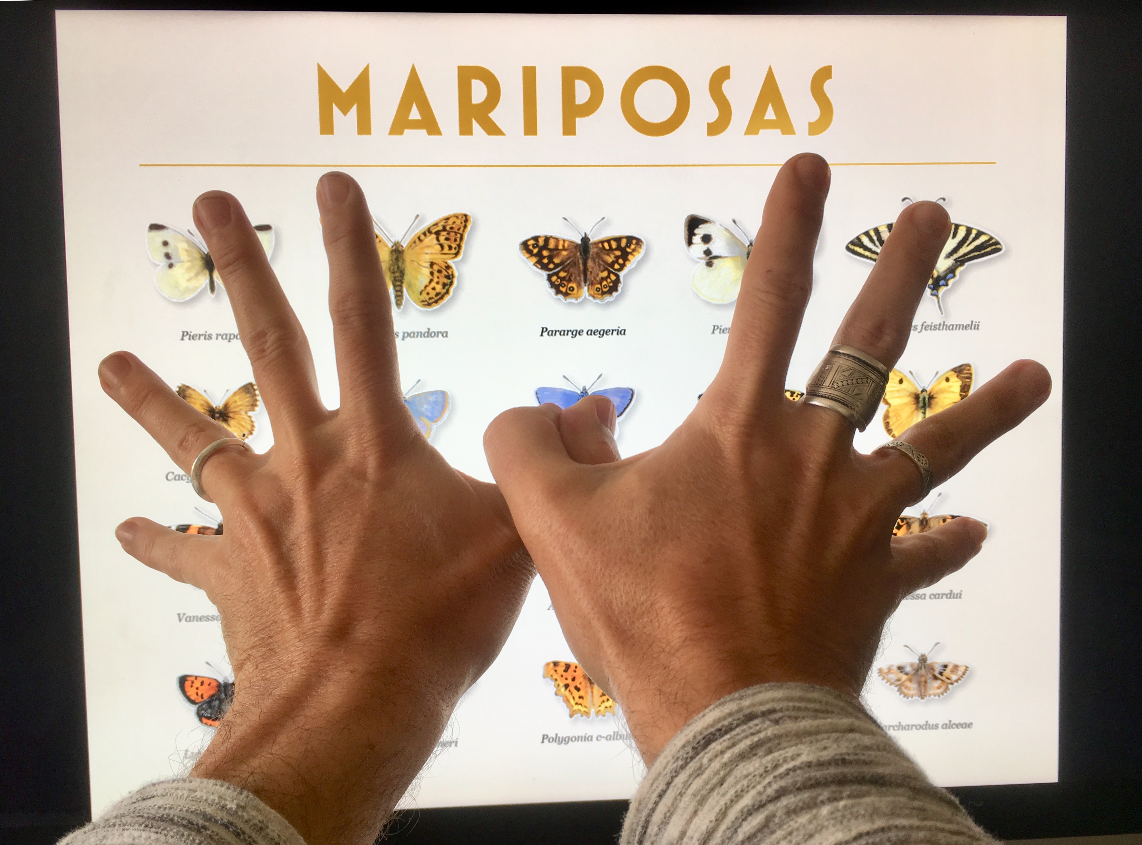 Mariposas