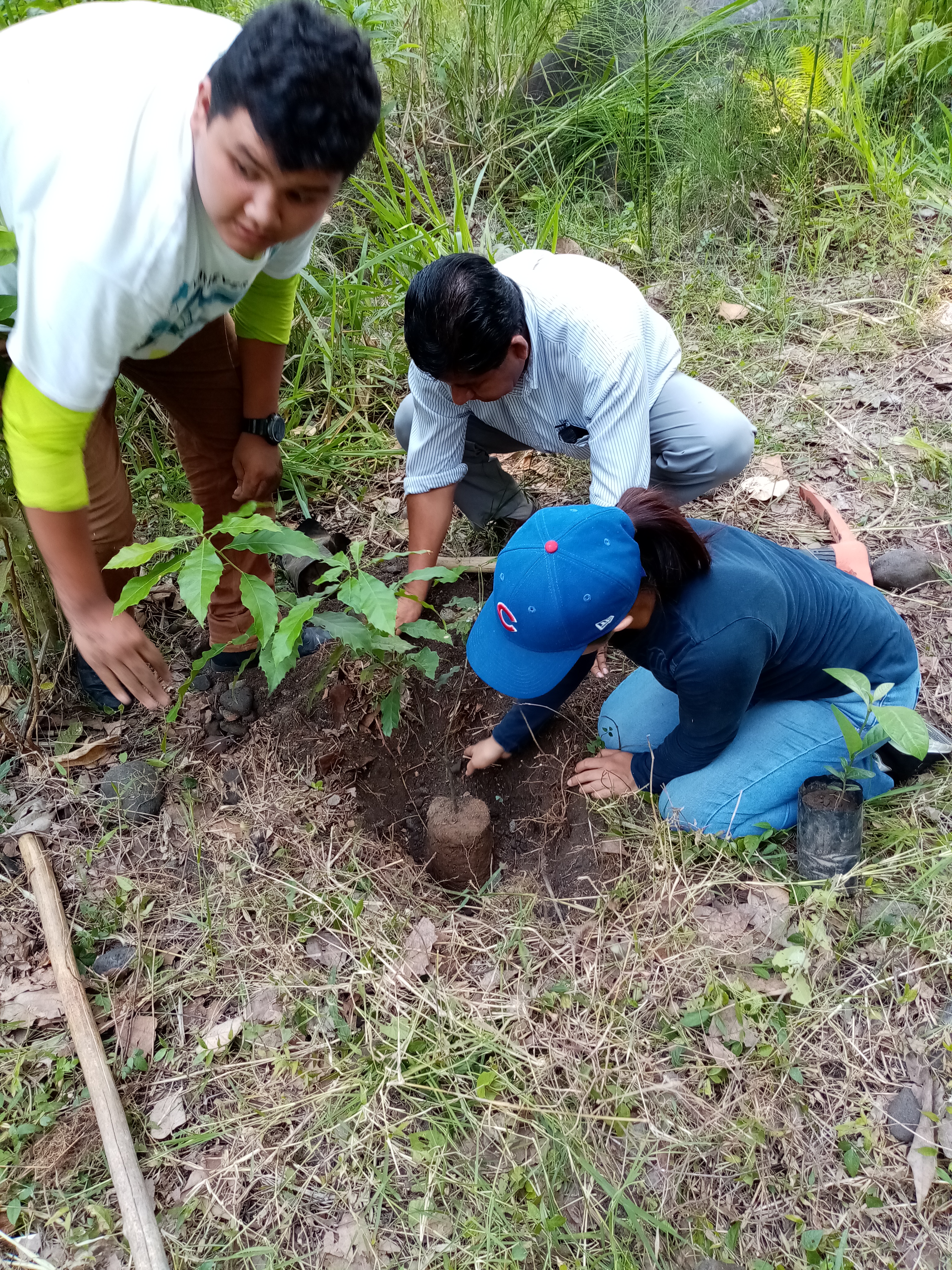 REFORESTANDO MANANTIAL LA LIMA VERACRUZ